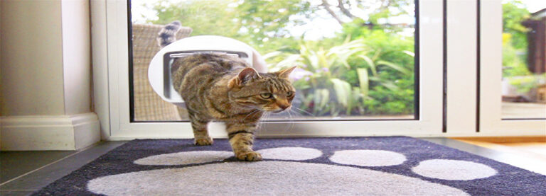 Cat & Glass Pet flap Installation